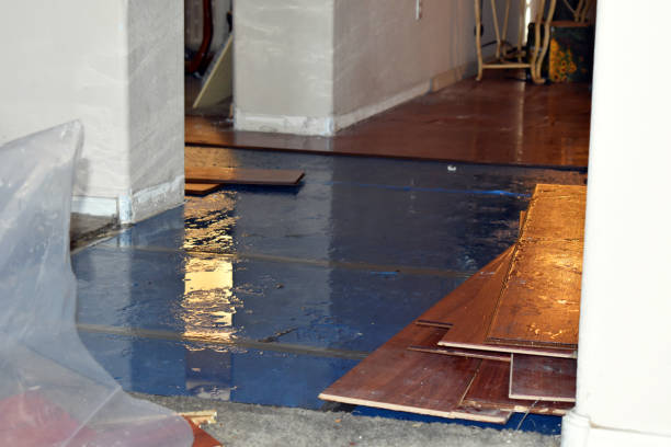 Professional Flood Cleanup technician working in Bellevue, OH